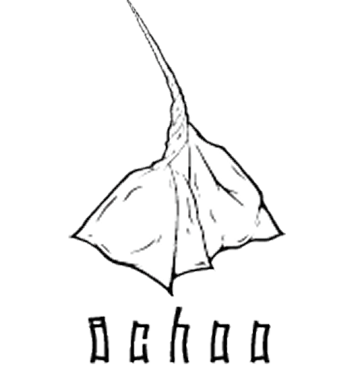 嚔（アチュー）